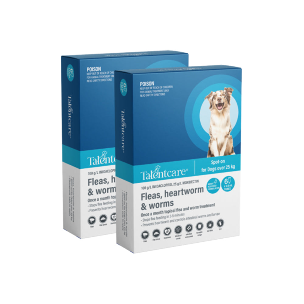 TALENTCARE Flea And Worming Spot-on For Dogs Over 25Kg