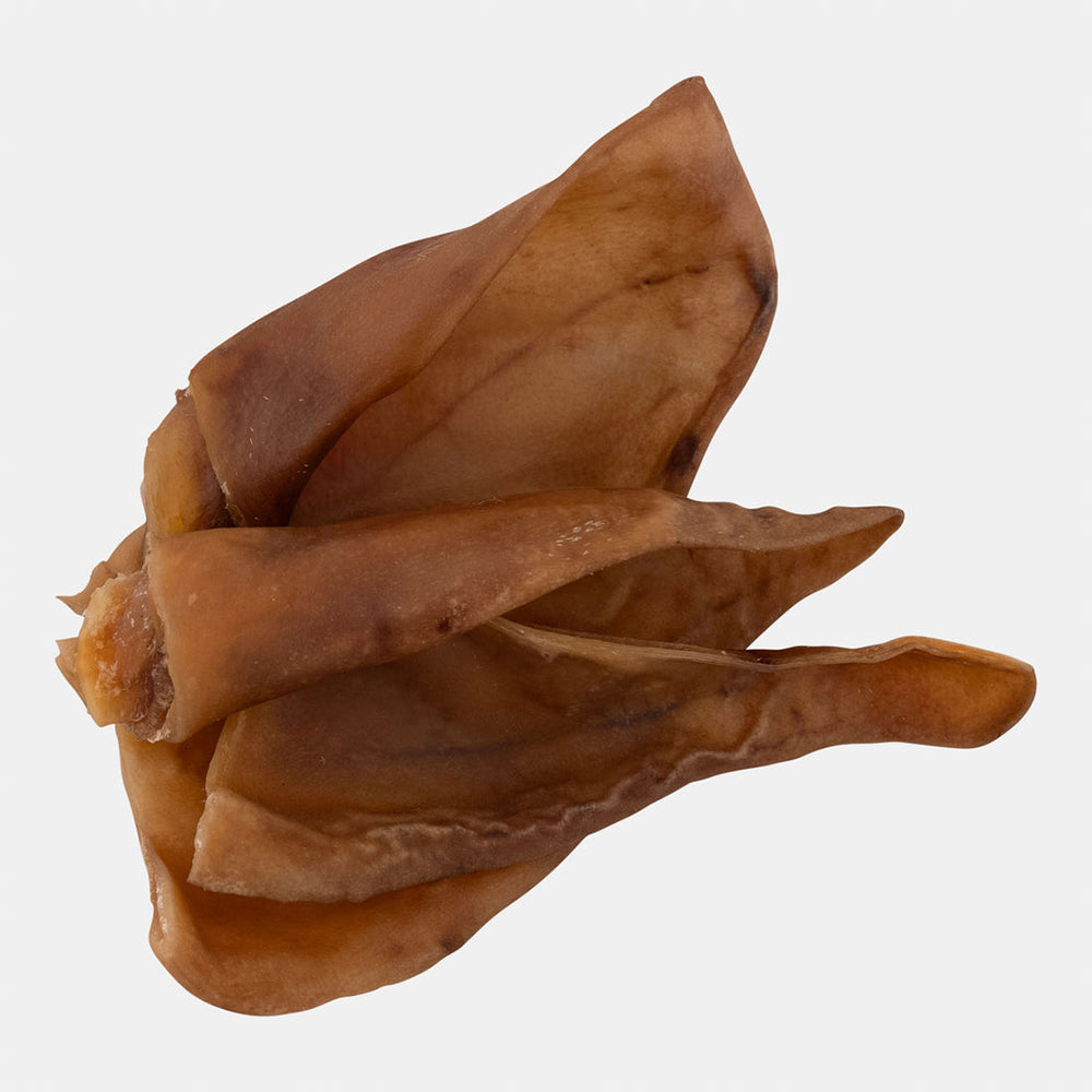 Cubee Chew Air-Dried Pig Ear Dog Treats 2pcs — view 3