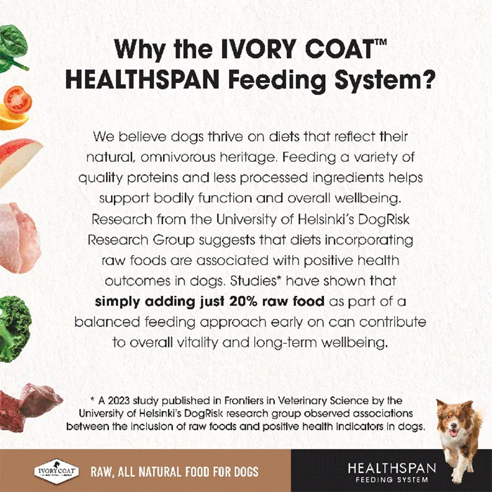 IVORY COAT Healthspan Sensitive Recipe Salmon & Kangaroo Frozen Dog Patties 12x227g