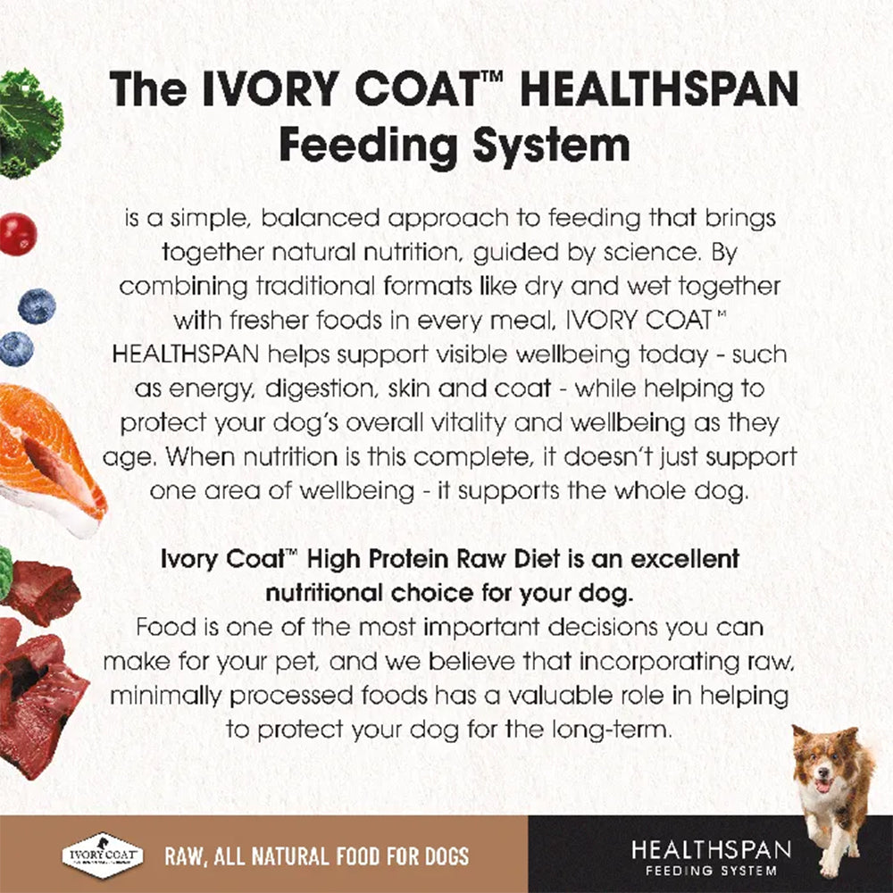 IVORY COAT Healthspan Raw Diet Salmon Frozen Dog Patties 12x227g