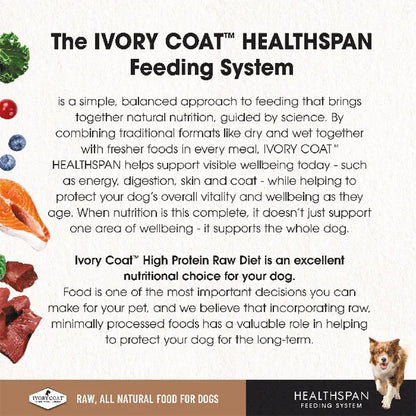 IVORY COAT Healthspan Raw Diet Salmon Frozen Dog Patties 12x227g