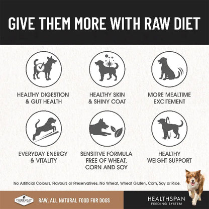 IVORY COAT Healthspan Raw Diet Salmon Frozen Dog Patties 12x227g