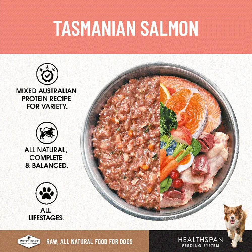 IVORY COAT Healthspan Raw Diet Salmon Frozen Dog Patties 12x227g