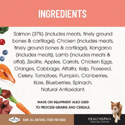 IVORY COAT Healthspan Raw Diet Salmon Frozen Dog Patties 12x227g