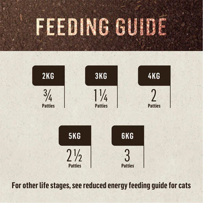 Doctor B's BARF Kangaroo Frozen Raw Cat Food 12 x 115g