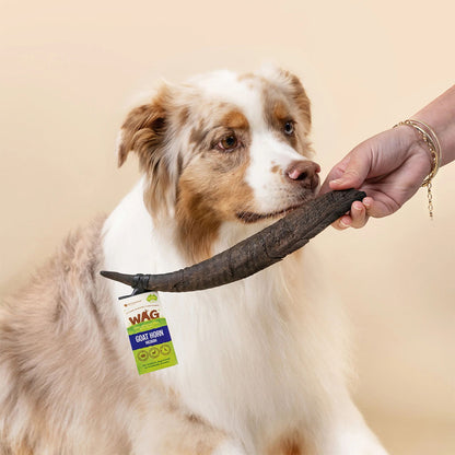 WAG Goat Horn Natural Dried Small Single Dog Treat