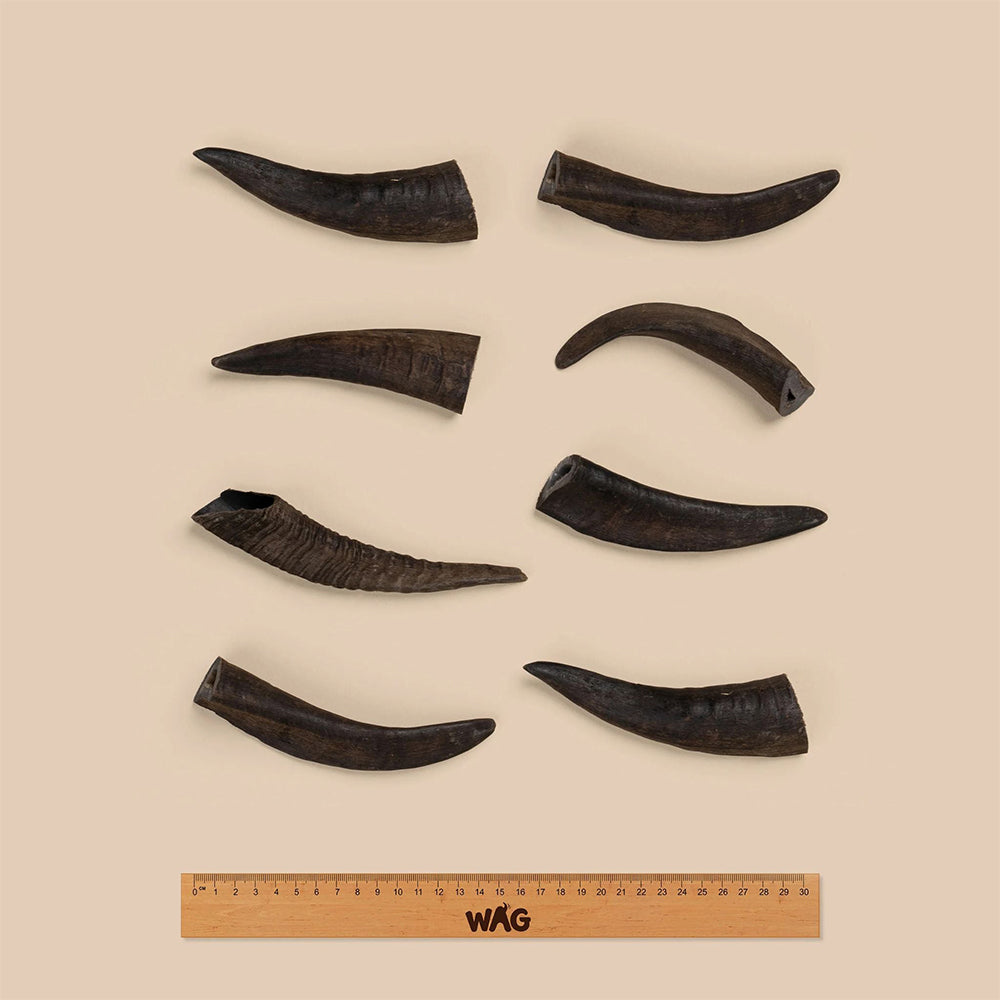 WAG Goat Horn Natural Dried Small Single Dog Treat