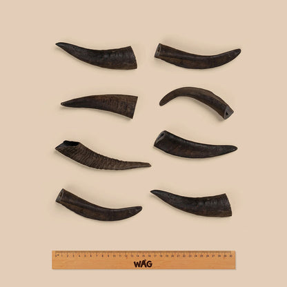 WAG Goat Horn Natural Dried Small Single Dog Treat