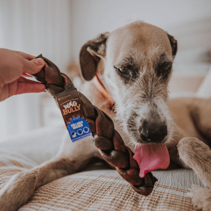 WAG Collagen Stick Braided Regular Dog Treats 1Pc
