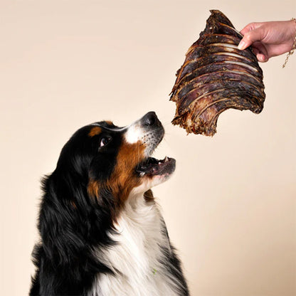 WAG Kangaroo Rib Rack Natural Dried Single Dog Treat
