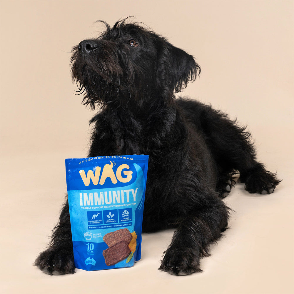 WAG Kangaroo Jerky Immunity Dog Treats 10Pc
