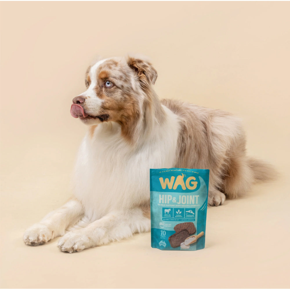 WAG Beef Jerky Hip & Joint Dog Treats 10Pc