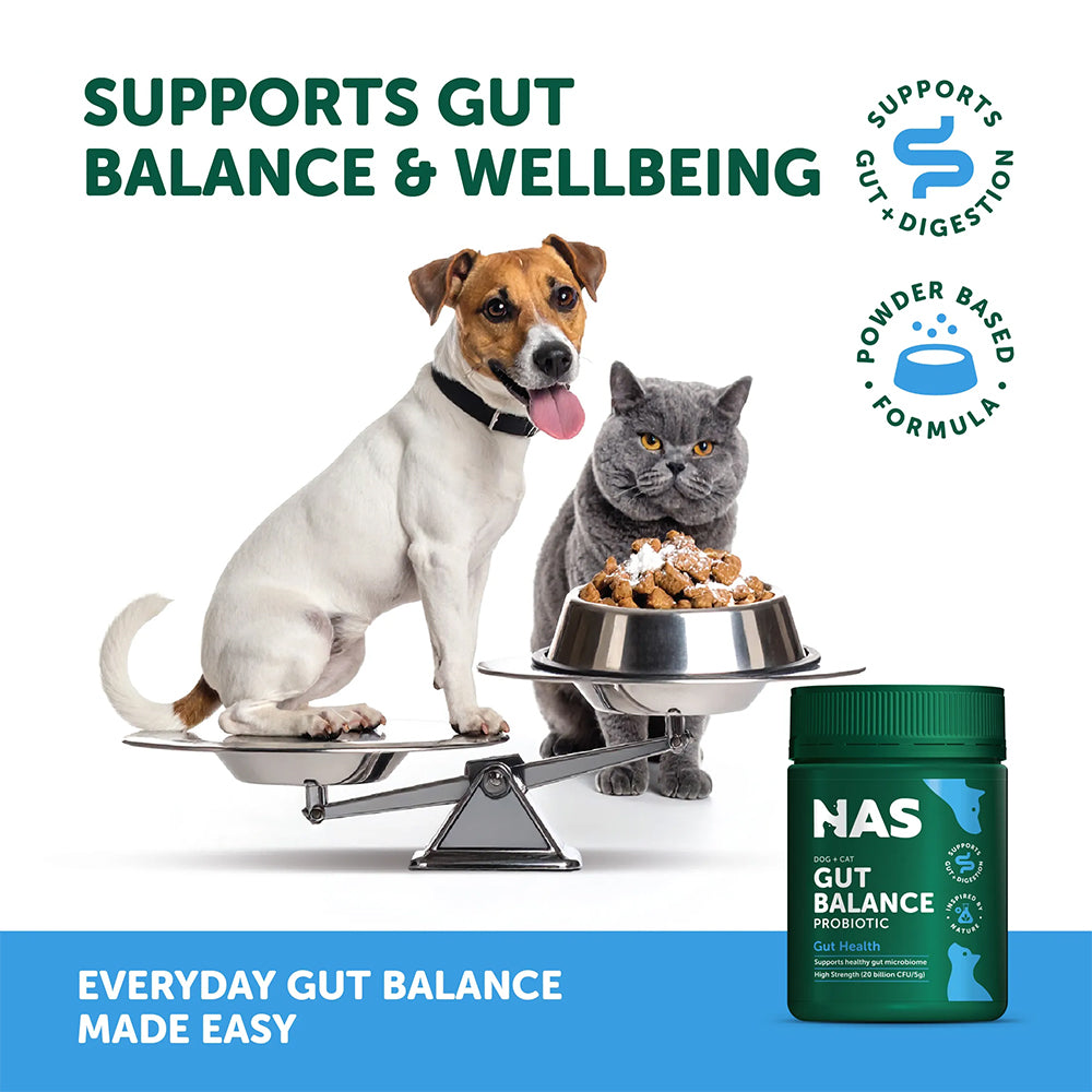 NAS NATURAL ANIMAL SOLUTIONS Natural Blend Gut Balance Probiotic Supplement For Cats & Dogs 80