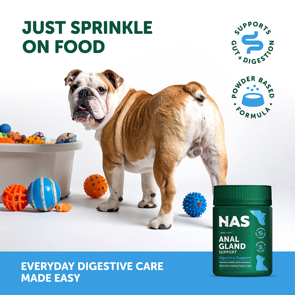 NAS NATURAL ANIMAL SOLUTIONS Anal Gland Support For Dogs & Cats 120g