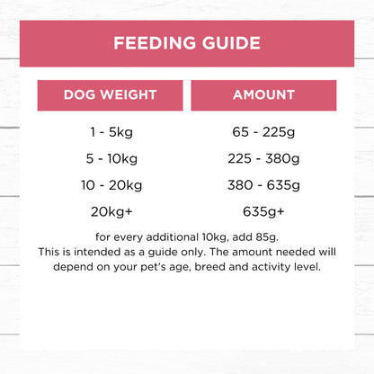 IVORY COAT Slow Cooked Lamb & Salmon Grain Free Frozen Adult Dog Food 250g