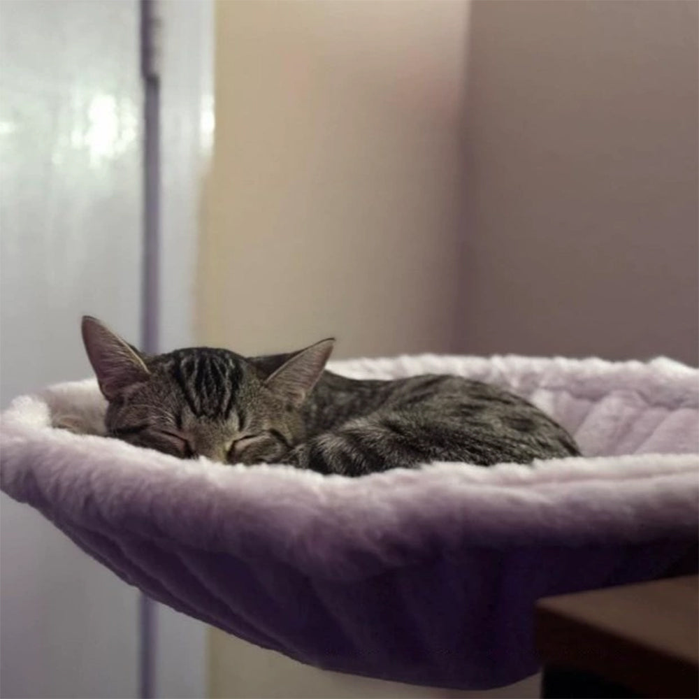 Desk-Mounted Cat Hammock – Clip-On Cat Bed for Table & Desk