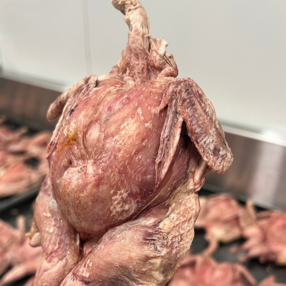 FREEZY PAWS Whole Quail Freeze Dried Pet Treats 1pc