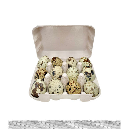 FREEZY PAWS Quail Eggs Freeze Dried Pet Treats 12pcs