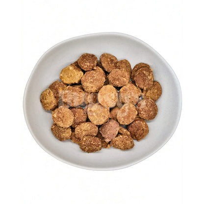 BUGSY'S Freeze Dried Beef & Turmeric Pet Treats 70g