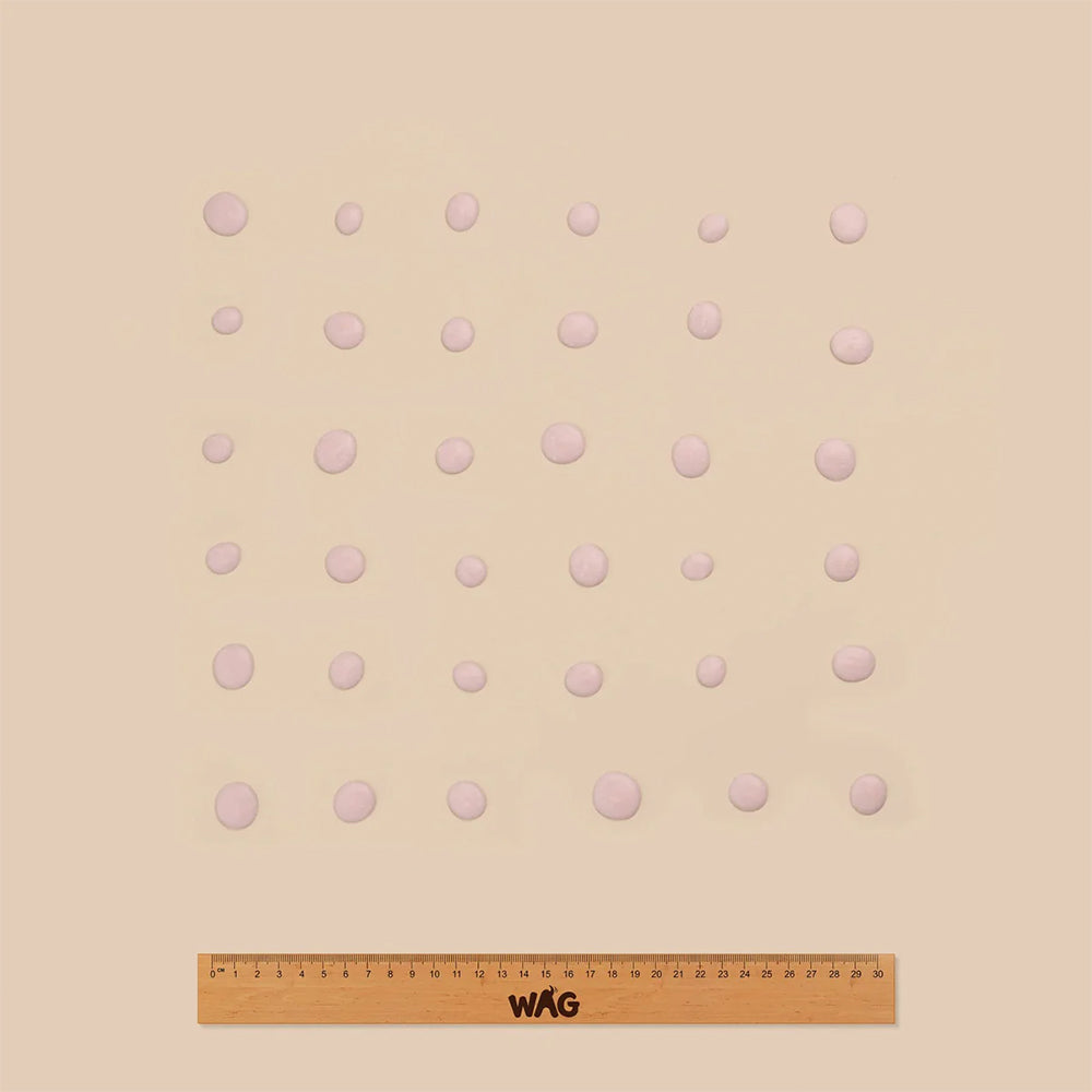 WAG Strawberry Yoghurt Drops Dog Pouch Treats 250g