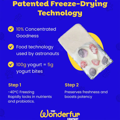 WONDERFUR Bites Immune Booster Yogurt Freeze Dried Dog Treats 50g