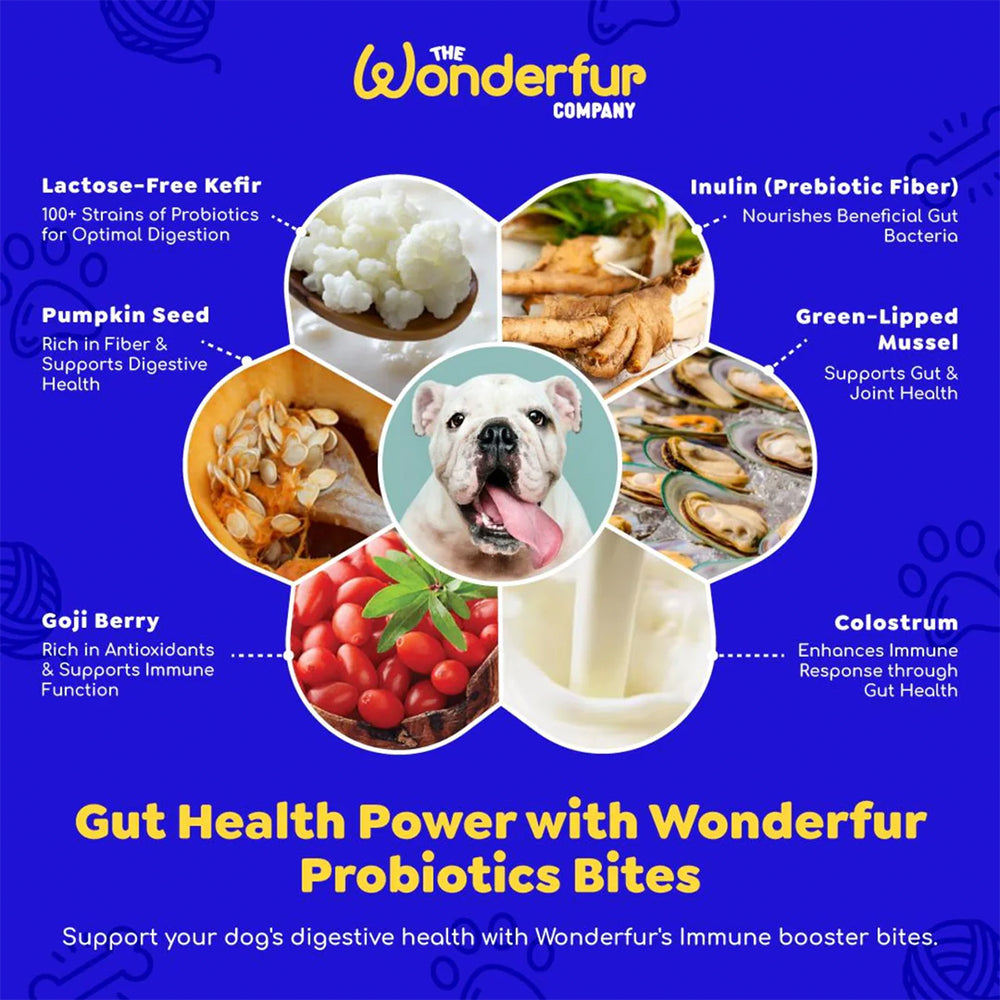 WONDERFUR Bites Immune Booster Yogurt Freeze Dried Dog Treats 50g