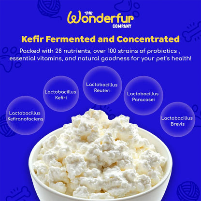 WONDERFUR Bites Immune Booster Yogurt Freeze Dried Dog Treats 50g
