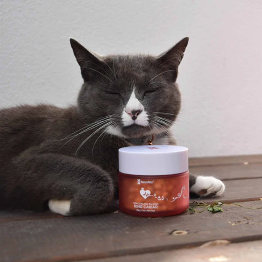 KORURE PETS NZ King Salmon Caviar Cardiovascular Health For Cats 30g