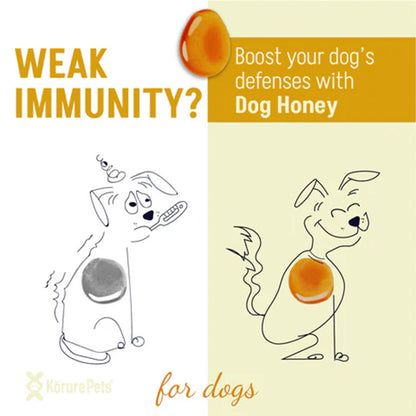 KORURE PETS Mussel Honey Immunity & Joint Dog Supplement 250g