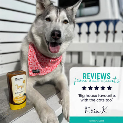 KORURE PETS Mussel Honey Immunity & Joint Dog Supplement 250g