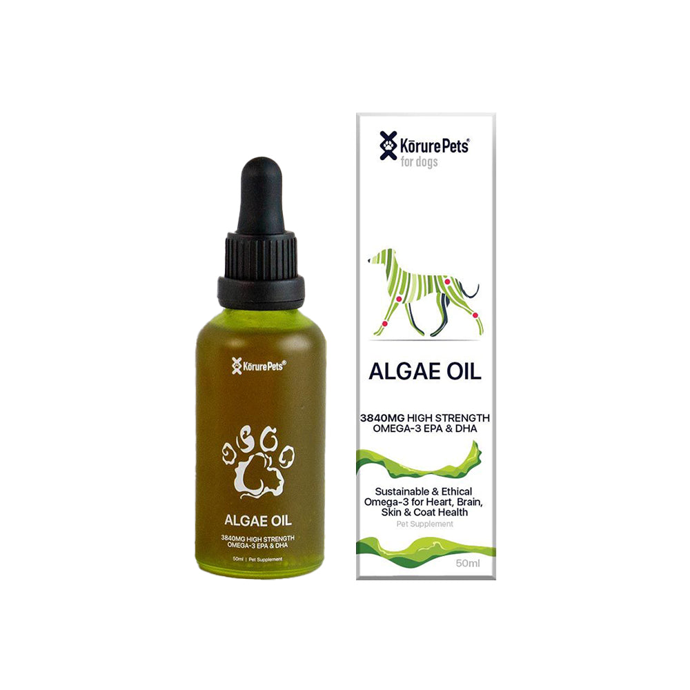 KORURE PETS Algae Oil Sustainable Omega-3 Supplement For Dogs 50ml