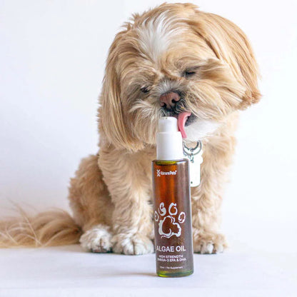 KORURE PETS Algae Oil Sustainable Omega-3 Supplement For Dogs 50ml