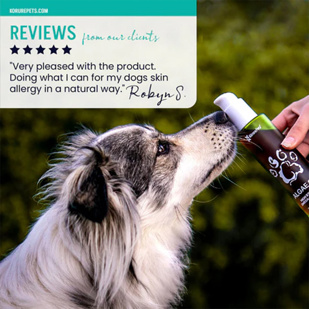 KORURE PETS Algae Oil Sustainable Omega-3 Supplement For Dogs 120ml
