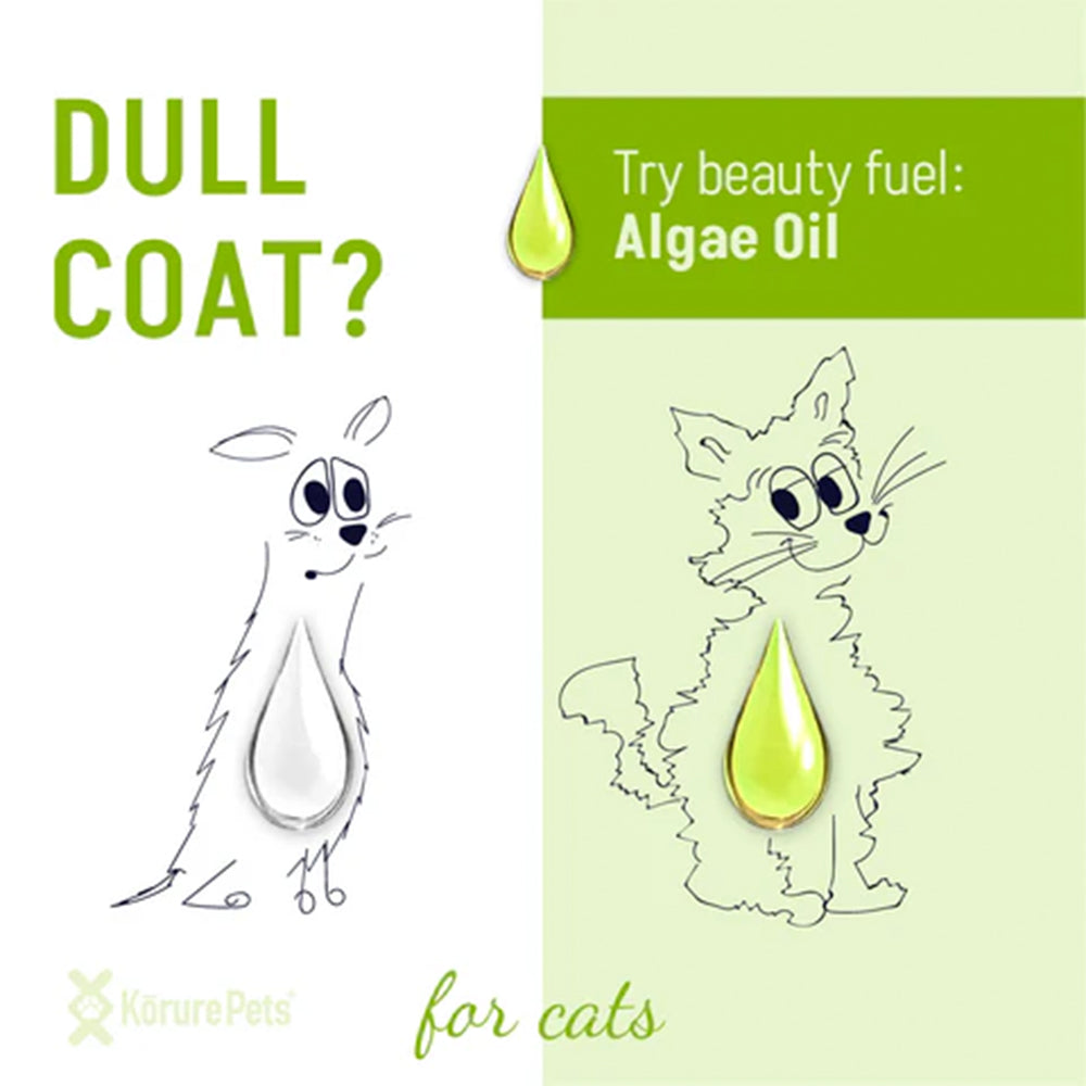 KORURE PETS Algae Oil Sustainable Omega-3 Supplement For Cats 50ml