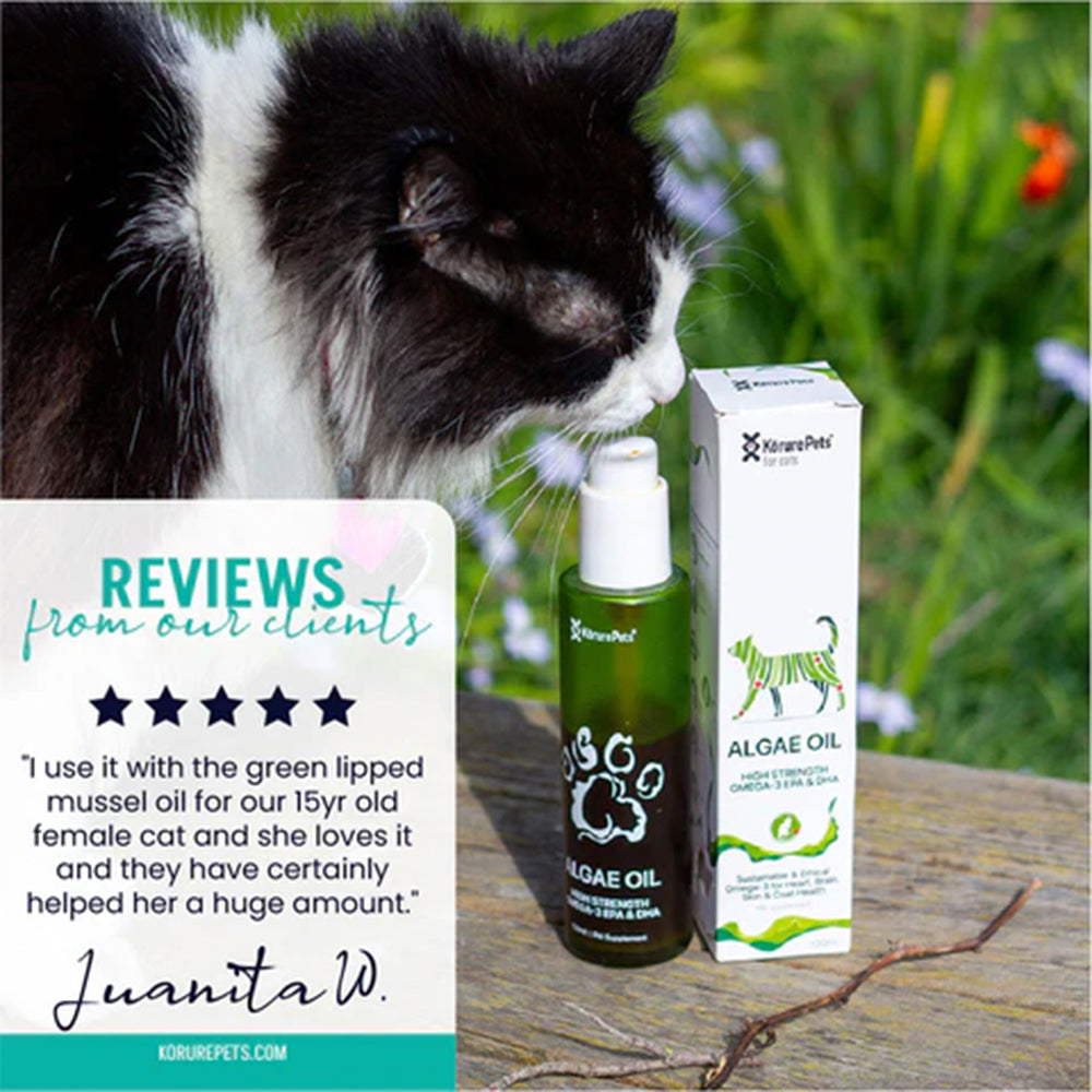 KORURE PETS Algae Oil Sustainable Omega-3 Supplement For Cats 50ml
