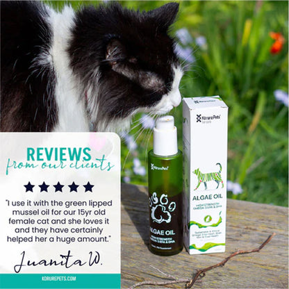 KORURE PETS Algae Oil Sustainable Omega-3 Supplement For Cats 50ml