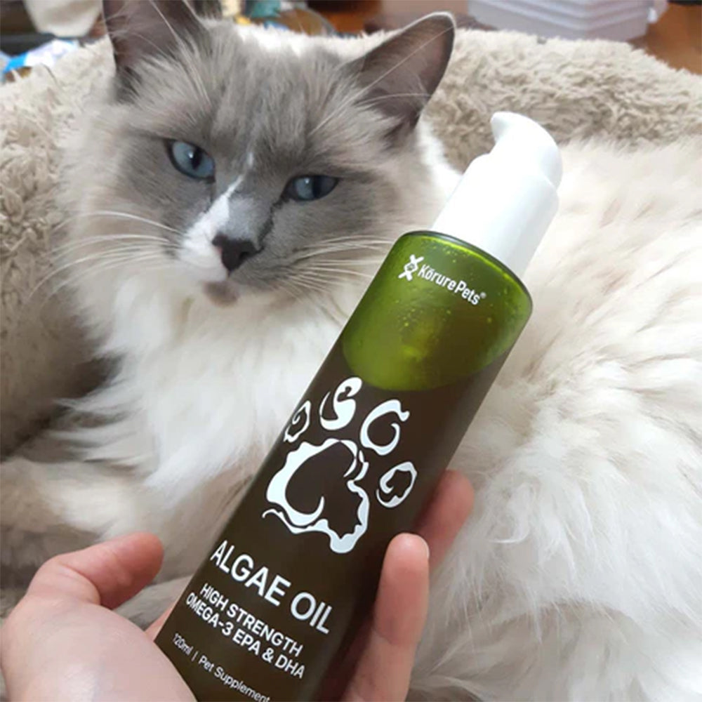 KORURE PETS Algae Oil Sustainable Omega-3 Supplement For Cats 50ml
