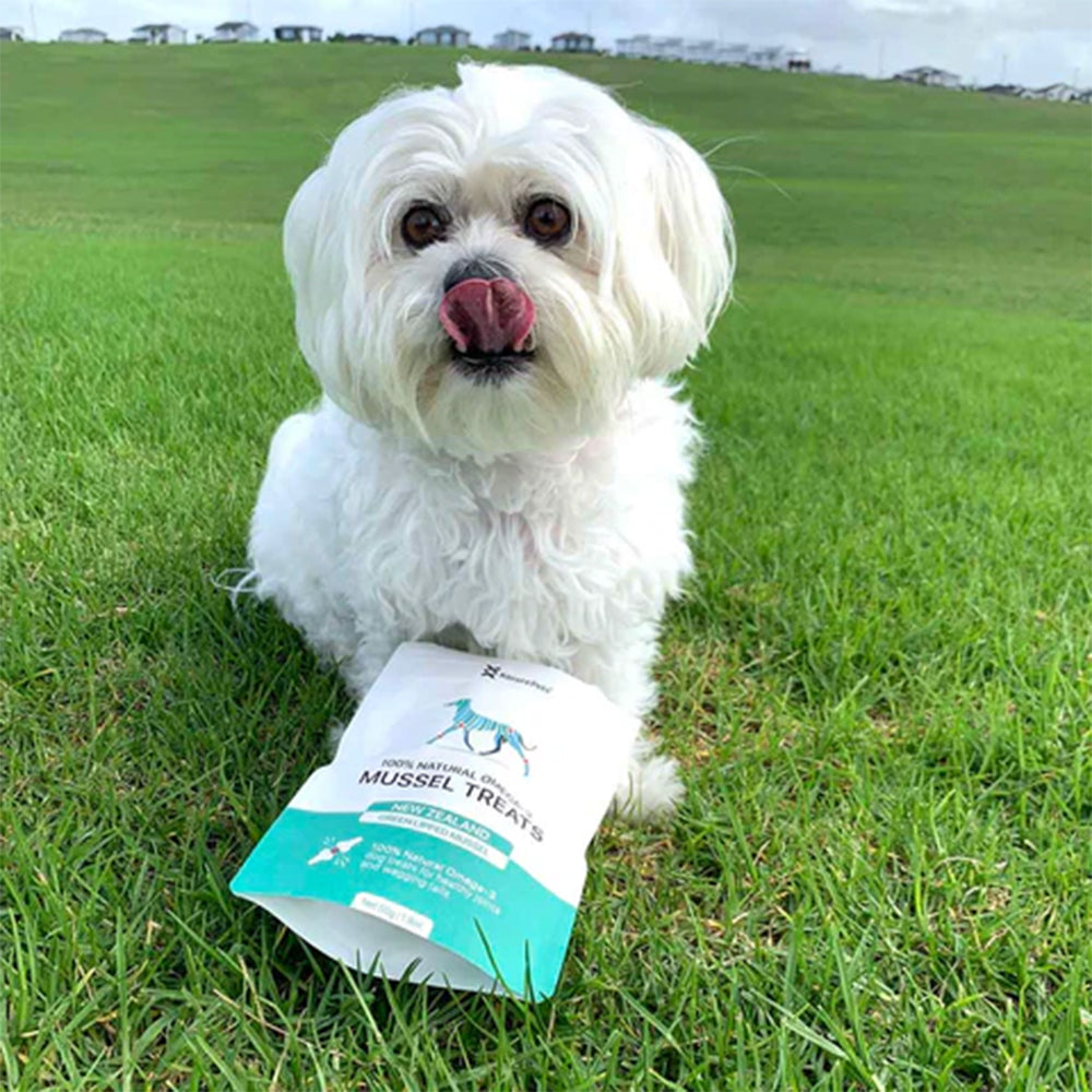 KORURE PETS NZ Omega-3 Mussel Dog Food Topper 50g