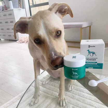 KORURE PETS Marine Phospholipid Powder Joint & Mobility Supplement For Dogs 50g