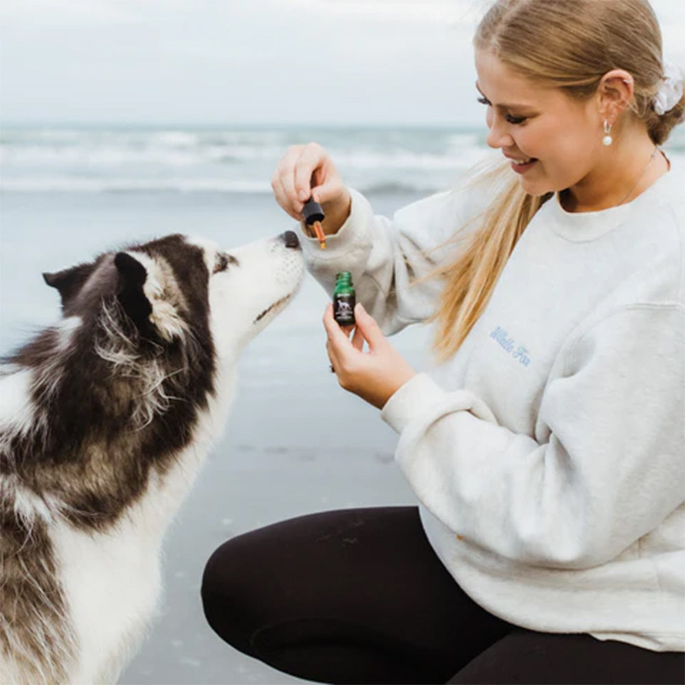 KORURE PETS Marine Phospholipid Oil Joint & Mobility Supplement For Dogs 9ml