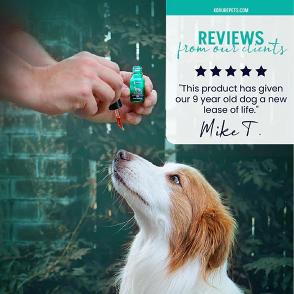 KORURE PETS Marine Phospholipid Oil Joint & Mobility Supplement For Dogs 9ml