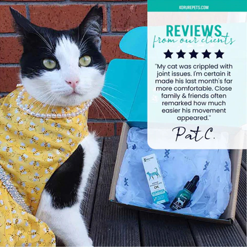 KORURE PETS Marine Phospholipid Oil Joint & Mobility Supplement For Cats 9ml