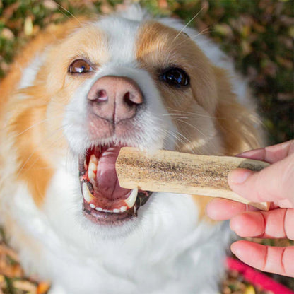 KORURE PETS Deer Antler X-Small Dog Dental Chew Treats 75g