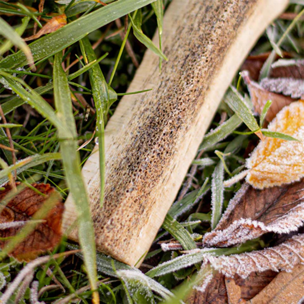 KORURE PETS Deer Antler X-Small Dog Dental Chew Treats 75g