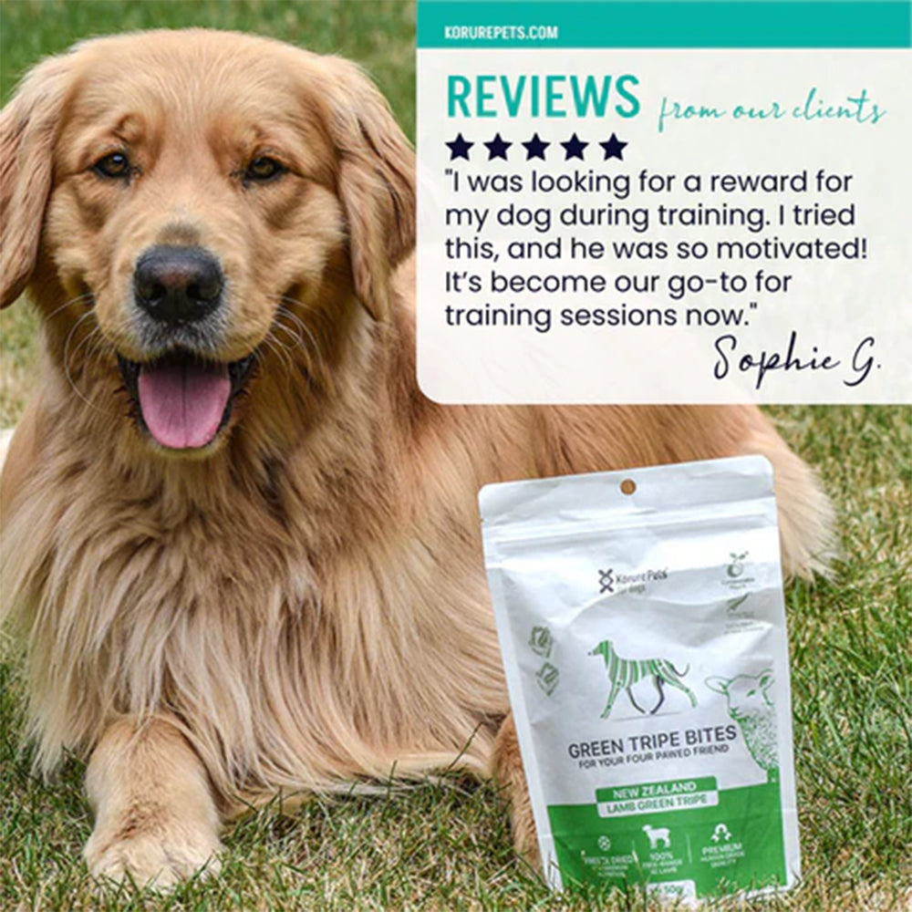 KORURE PETS NZ Lamb Green Tripe Dog Food Topper 40g