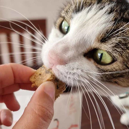 KORURE PETS NZ King Salmon Bites Cat Food Topper 50g