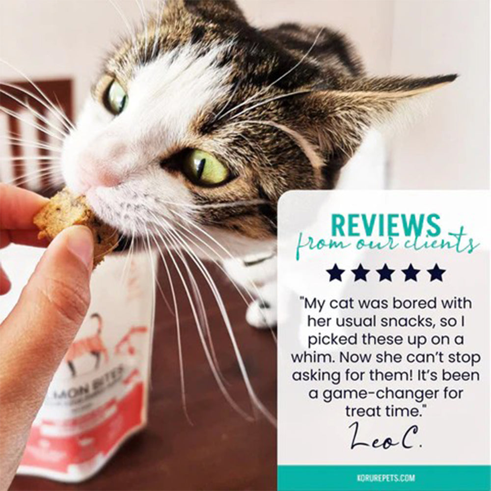 KORURE PETS NZ King Salmon Bites Cat Food Topper 50g