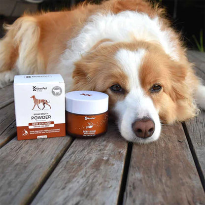 KORURE PETS Beef Bone Broth Powder For Dogs 50g