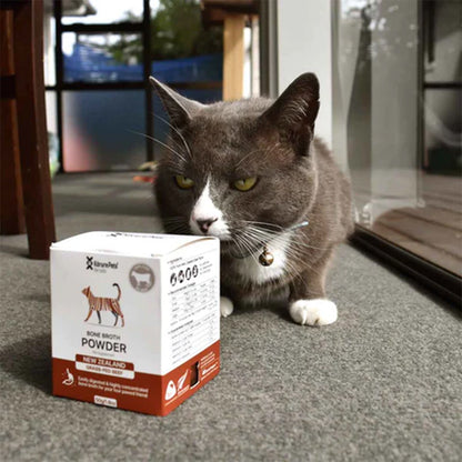 KORURE PETS Beef Bone Broth Powder For Cats 50g