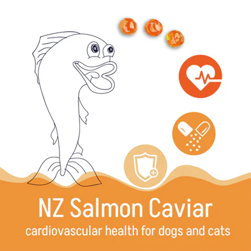 KORURE PETS NZ King Salmon Caviar Cardiovascular Health For Dogs 30g